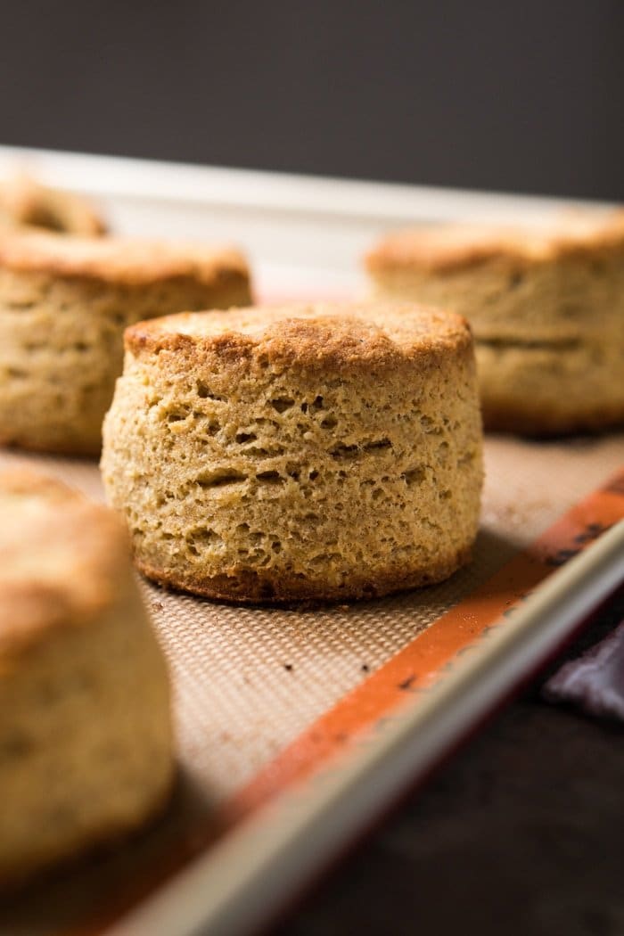 Freshly baked flaky gluten free & keto biscuits