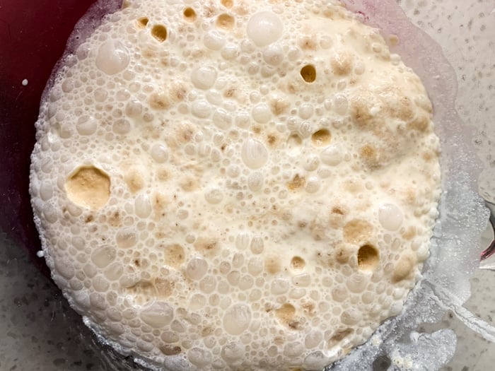 Proofed active dry yeast with bubbles