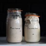 my sourdough starters (Montana and Yosemite) rising in mason jars