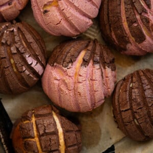 Closeup Mexican sourdough conchas with strawberry and chocolate seashell coatings